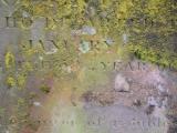 image of grave number 710507